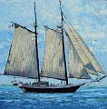 A Saturday Sail Off Gloucester